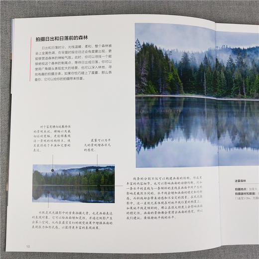 主体刻画/风光摄影四部曲摄影基础知识教程器材理论教材/构图和用光/风景人像建筑静物动物拍摄技巧/摄影设计绘画用光与构图畅销书—浙江摄影出版社 商品图2