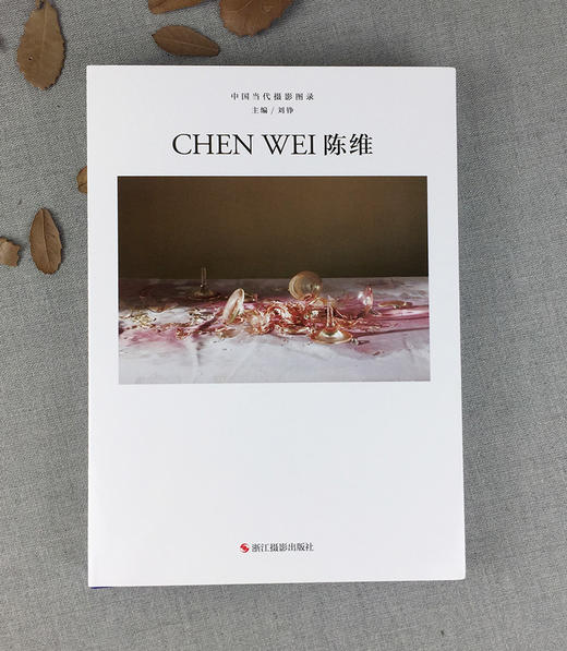 中国当代摄影图录 陈维 刘铮著 当代摄影大师成名作摄影高清作品集纪实摄影照片解析摄影书籍摄影画册精装图鉴 摄影艺术鉴赏品鉴—浙江摄影出版社 商品图1