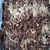 干茶树菇 商品缩略图0