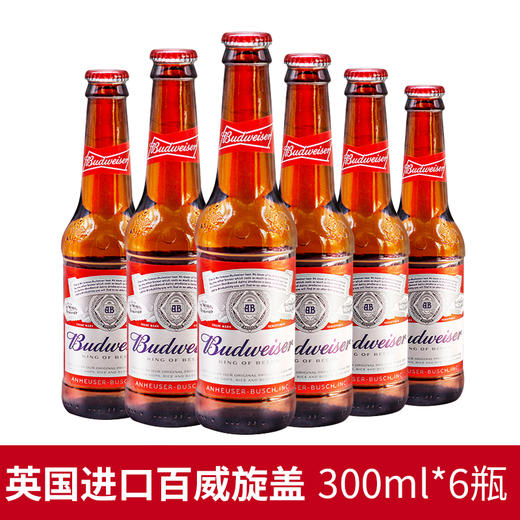 300ml百威红啤酒（6瓶装） 商品图0