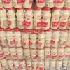 江苏味动力乳酸菌饮品340ml×12 商品缩略图2