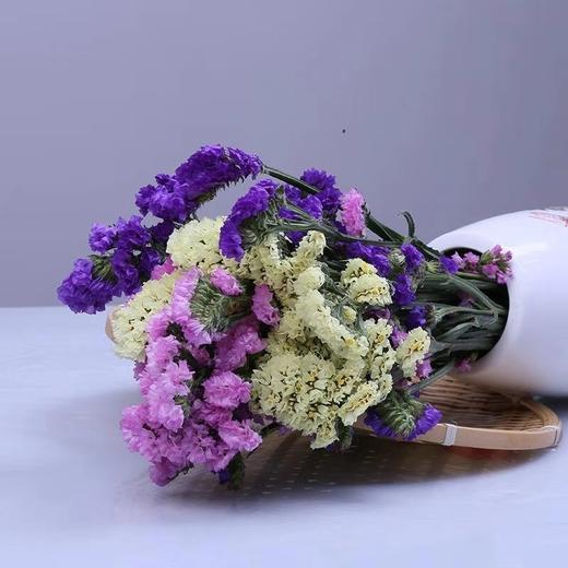 【9.9元特价包邮】三色混合勿忘我花束——精选花材，产地直发 商品图3