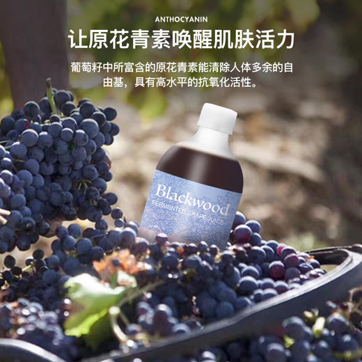 新西兰BlackWood葡萄籽酵素浓缩饮料——液体酵素好吸收 商品图1
