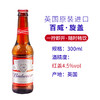 300ml百威红啤酒（6瓶装） 商品缩略图1