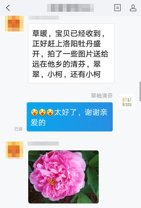 #芳友说#芳友在洛阳拍摄的一组照片，正碰上牡丹盛开的花期，简直太美啦~~