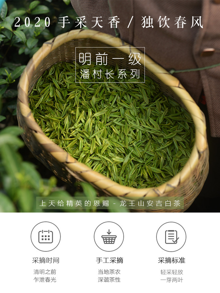 安吉白茶 | 龙王山潘村长礼盒2020年新茶明前茶叶龙王