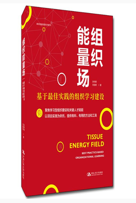 组织能量场——基于最佳实践的组织学习建设