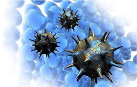  病毒通过眼传播是真的吗？ 