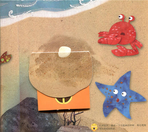 神奇的数学 世界上最特别的家 儿童启蒙认知早教书 商品图4