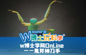【全国】w博士学院OnLine_鬼斧神刀手