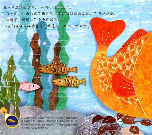 神奇的数学 5条小鱼的冒险  儿童启蒙认知早教书 商品图1