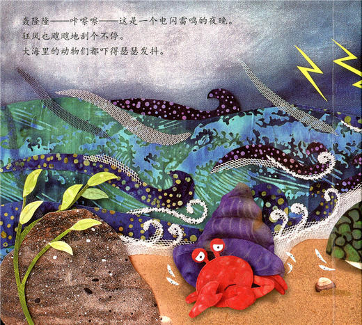 神奇的数学 世界上最特别的家 儿童启蒙认知早教书 商品图1