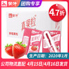 【团长】真果粒草莓果粒康美包125ml×40盒 商品缩略图0