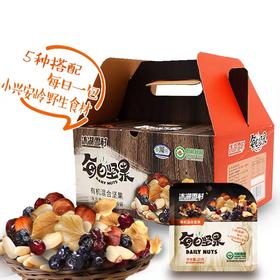 冰湖雪村每日坚果20g*30