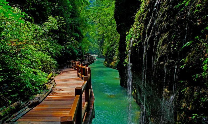 [重庆] 黑山谷景区门票
