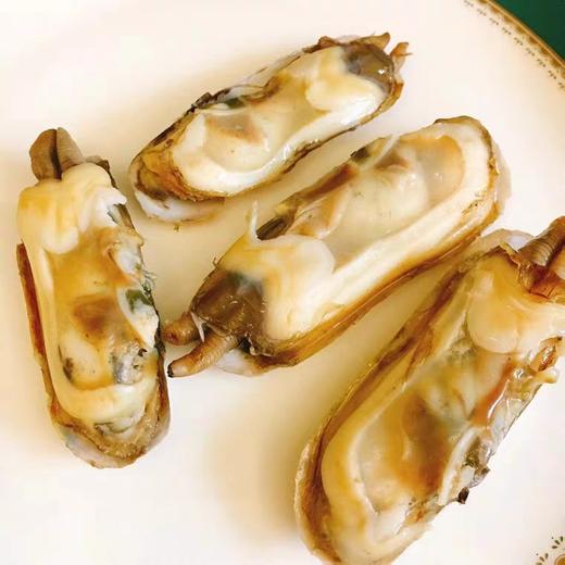 蛏子 2.5斤 商品图0