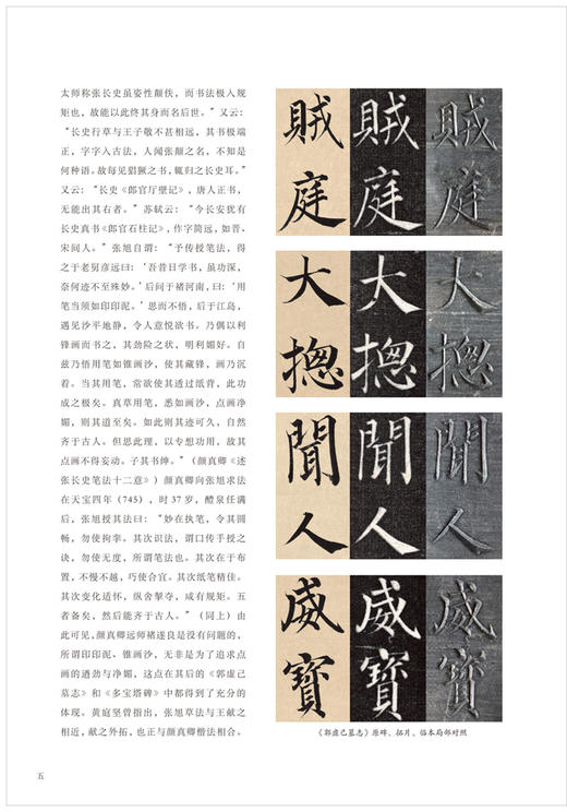 颜真卿《多宝塔碑》(宋拓本 翁志飞临本) 视频全覆盖 书法爱好者 培训班教材 商品图3