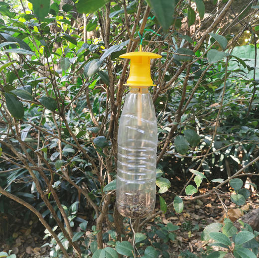 便携实蝇诱捕器诱捕头诱捕盖子 商品图4