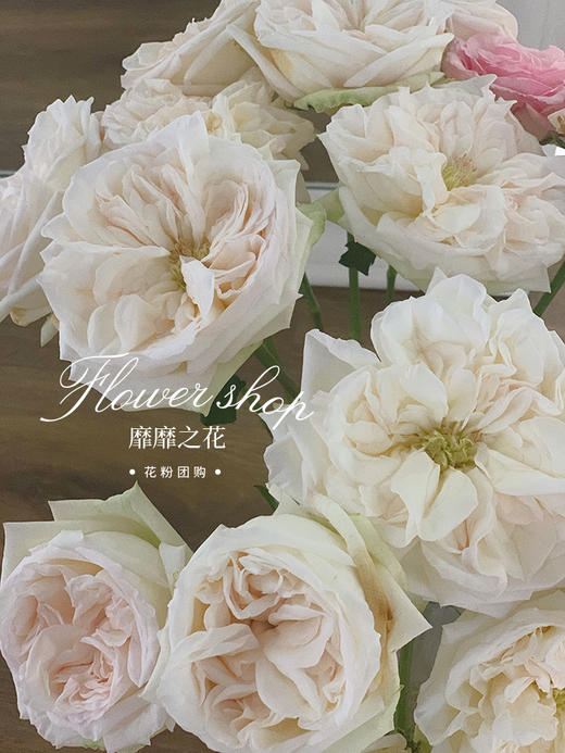 【花粉团购群】特惠秒杀59包邮！20枝荔枝玫瑰 白粉颜色随机 商品图2