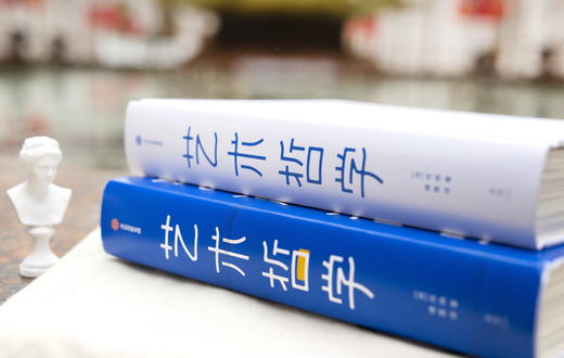 【赠送明信片和藏书票】《艺术哲学》| 您的私人纸上博物馆 219件艺术品随心看 商品图3