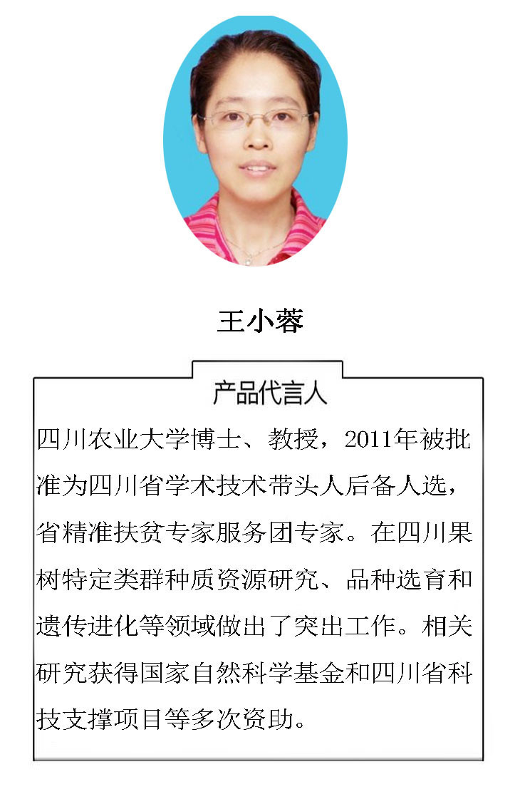 《王小蓉教授代言》中国樱桃 新鲜可口