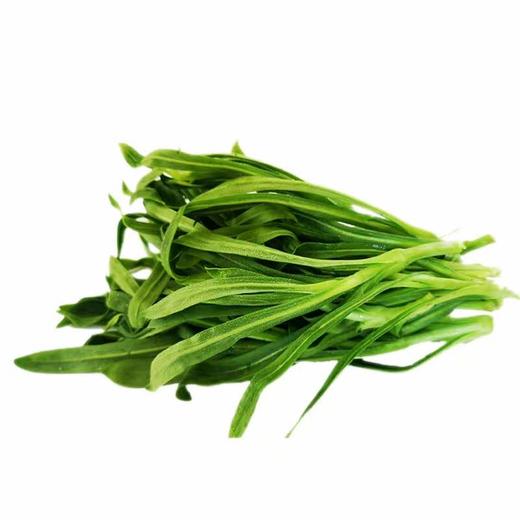 面条菜 商品图3