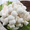 白玉菇 商品缩略图0