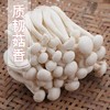白玉菇 商品缩略图1