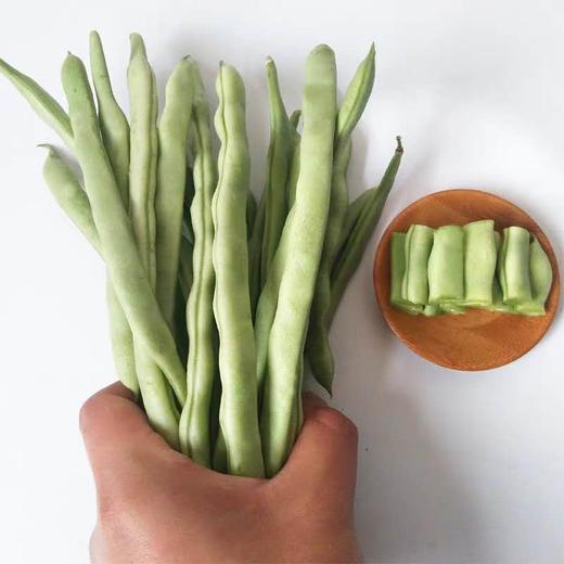四季豆 商品图3