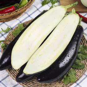 （特惠5元/斤）农家自产新鲜紫茄子茄子优质茄子