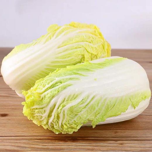 娃娃菜 商品图2