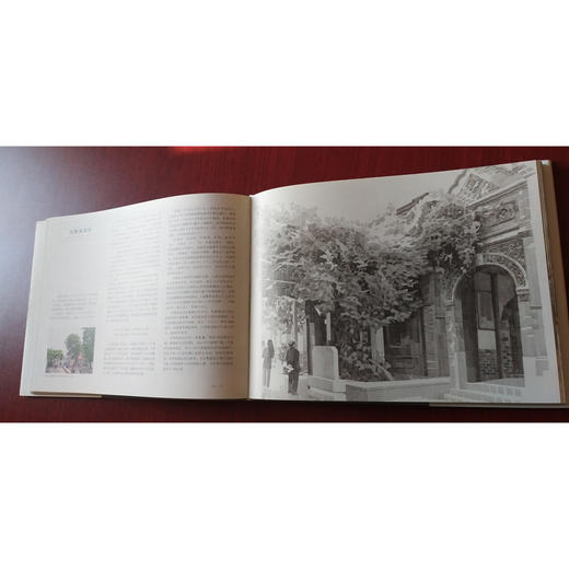 树影 鸽子 人：胡同北京的生趣与乡愁 商品图4