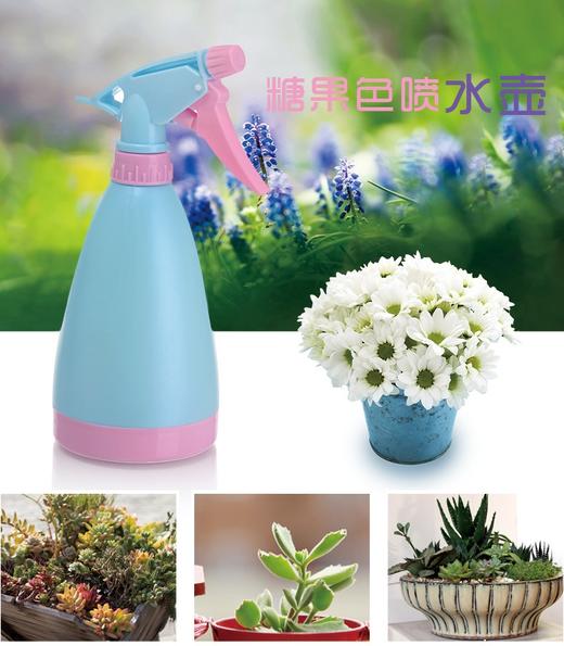 【糖果色喷壶】洒水壶 喷水壶居家日用 手压式浇花壶 喷水瓶 商品图0