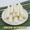 茭白 商品缩略图1