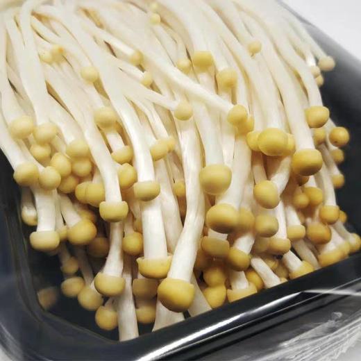 金针菇 商品图2