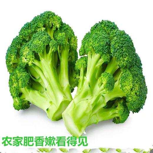 西蓝花 商品图2