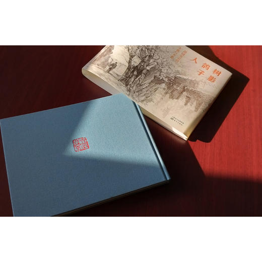 树影 鸽子 人：胡同北京的生趣与乡愁 商品图5