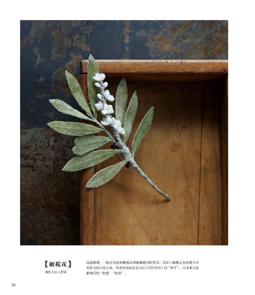 2019新书 草木染布花图鉴 浅田真理子 植物染布花手工DIY设计制作新手入门教程 花草花语特征讲解 钩针编织布料染色技法步骤详讲 商品图2