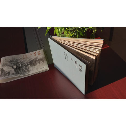 树影 鸽子 人：胡同北京的生趣与乡愁 商品图3