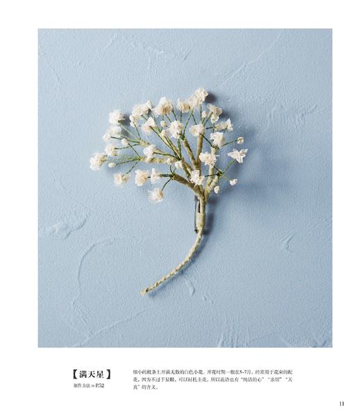 2019新书 草木染布花图鉴 浅田真理子 植物染布花手工DIY设计制作新手入门教程 花草花语特征讲解 钩针编织布料染色技法步骤详讲 商品图3