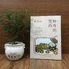 给孩子的博物文化课：神奇的货币  考古学教授博士生导师后晓荣博物馆研究员货币史货币的起源与演变博物文化启蒙 商品缩略图1