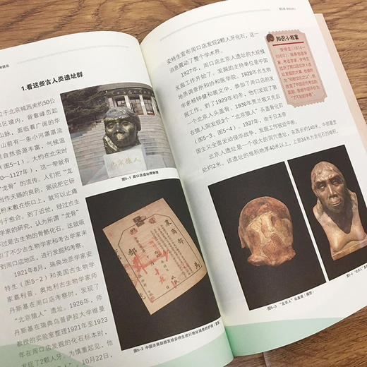 给孩子的博物文化课：人的进化   考古学教授博士生导师后晓荣博物馆研究员人类进化历史进程博物文化启蒙课科普书 商品图4