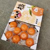 台湾爆汁茂谷柑8斤 商品缩略图2