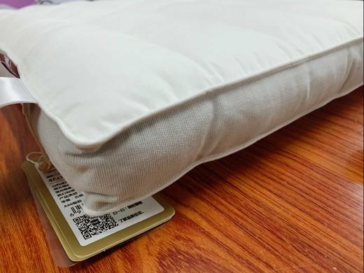 夏维怡 臻品素颜枕 商品图1