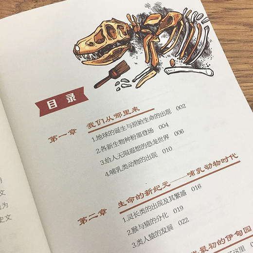 给孩子的博物文化课：人的进化   考古学教授博士生导师后晓荣博物馆研究员人类进化历史进程博物文化启蒙课科普书 商品图3