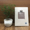 给孩子的博物文化课：神奇的货币  考古学教授博士生导师后晓荣博物馆研究员货币史货币的起源与演变博物文化启蒙 商品缩略图2
