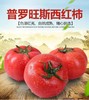 【社区团购】普罗旺斯西红柿10元3斤 商品缩略图0