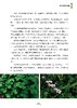草木有情 四季植物笔记 野生植物爱好者书籍 工具书 回归自然 植物生态学植物生理学 中国花卉识别彩色大图鉴 城市花园植物科普 商品缩略图5