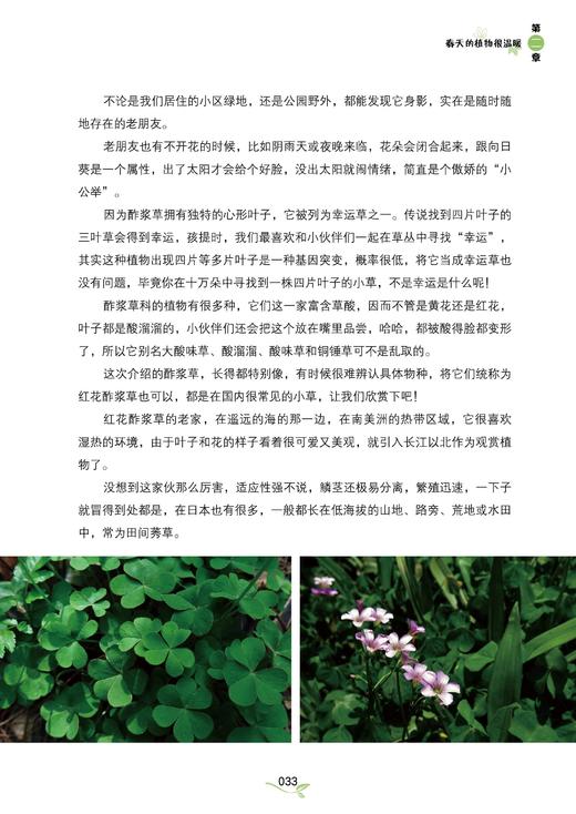 草木有情 四季植物笔记 野生植物爱好者书籍 工具书 回归自然 植物生态学植物生理学 中国花卉识别彩色大图鉴 城市花园植物科普 商品图5