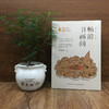 给孩子的博物文化课：畅游书画间  中国书画中国历史文化考古学教授博物馆研究员博物文化启蒙书法名作赏析书籍 商品缩略图1